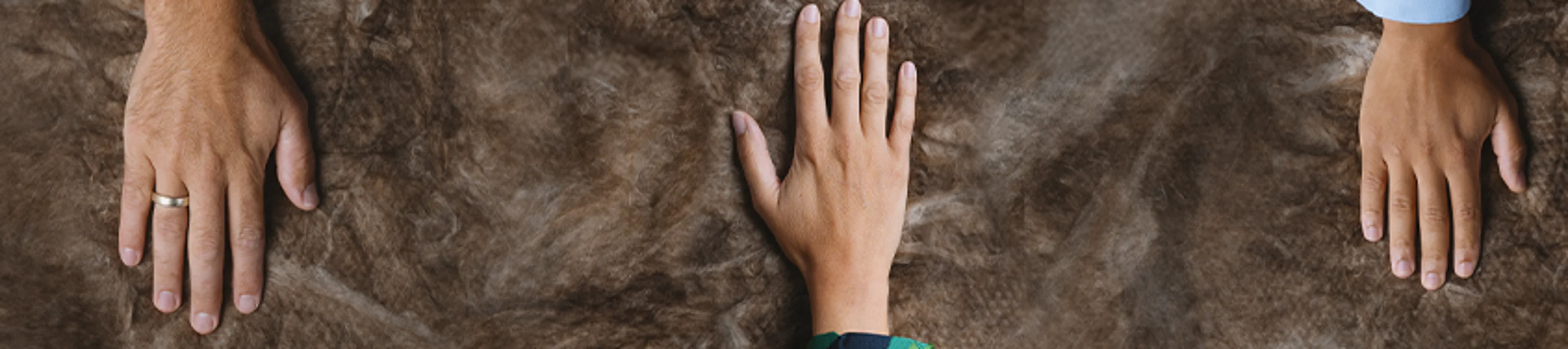 Ecose difference website banner