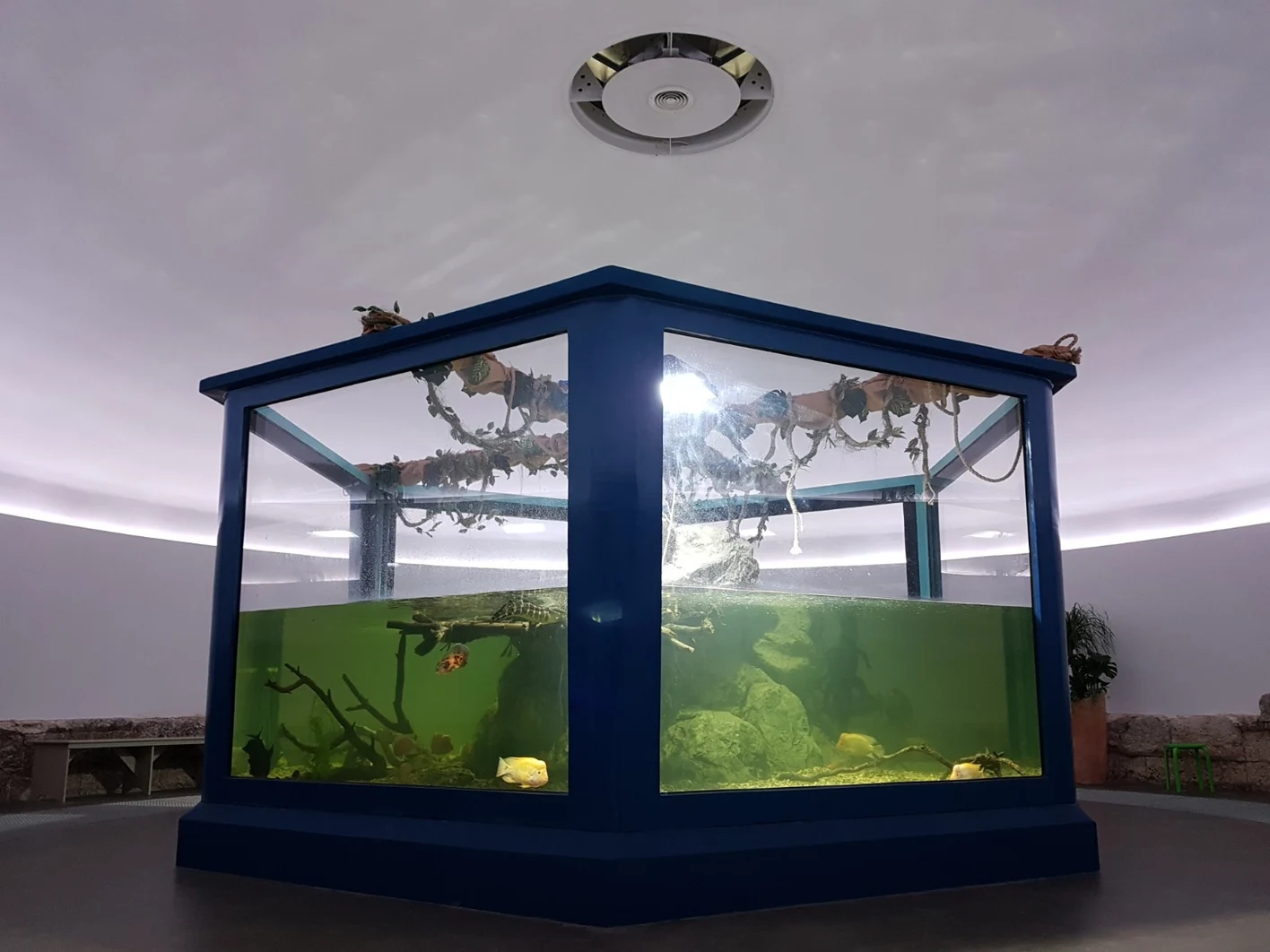 02-Aquarium Pula, utvrda Verudela