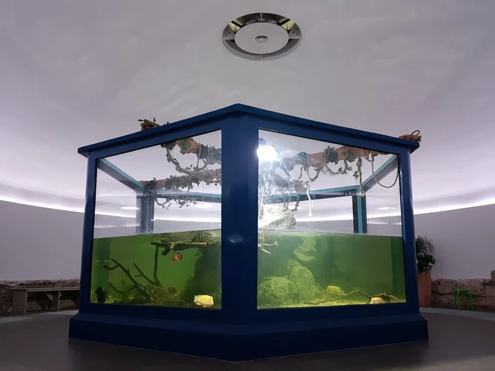 02-Aquarium Pula, utvrda Verudela