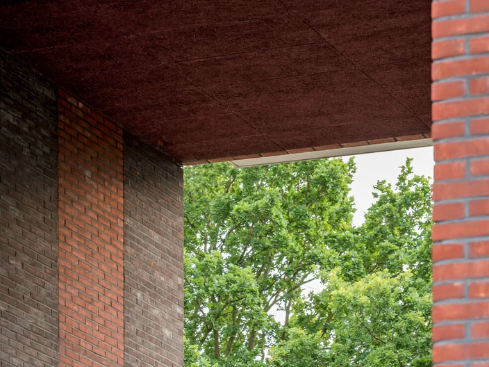 De Adelaar Hoogeveen