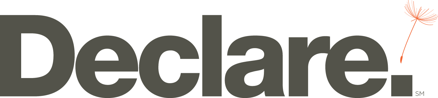  DECLARE LOGO TRANSPARANT BACKGROUND
