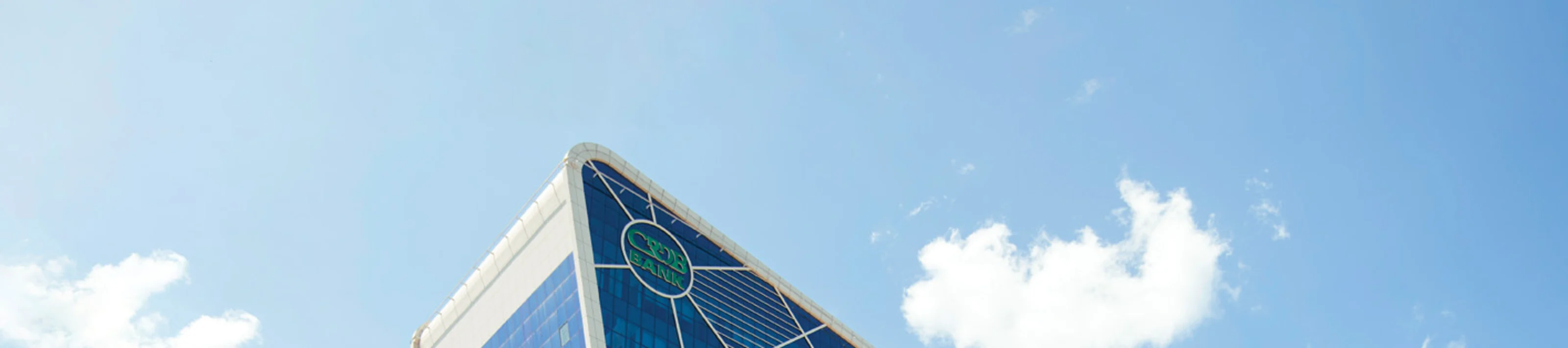 Knauf Tanzania Case Studies