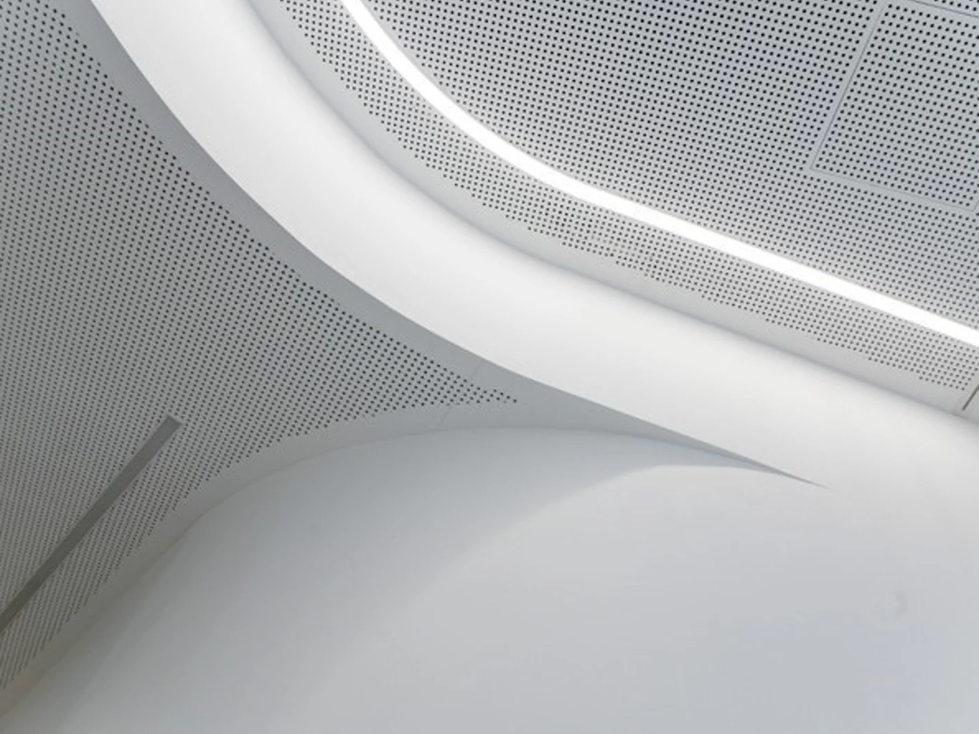 Laurin-10.jpg