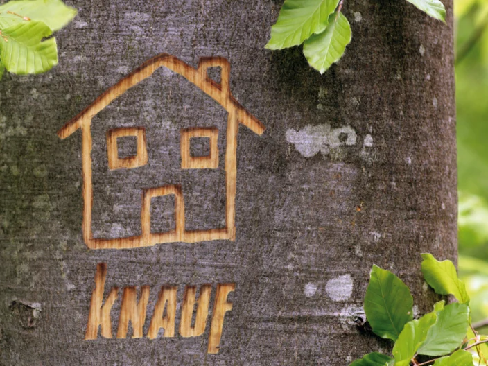Baumherz