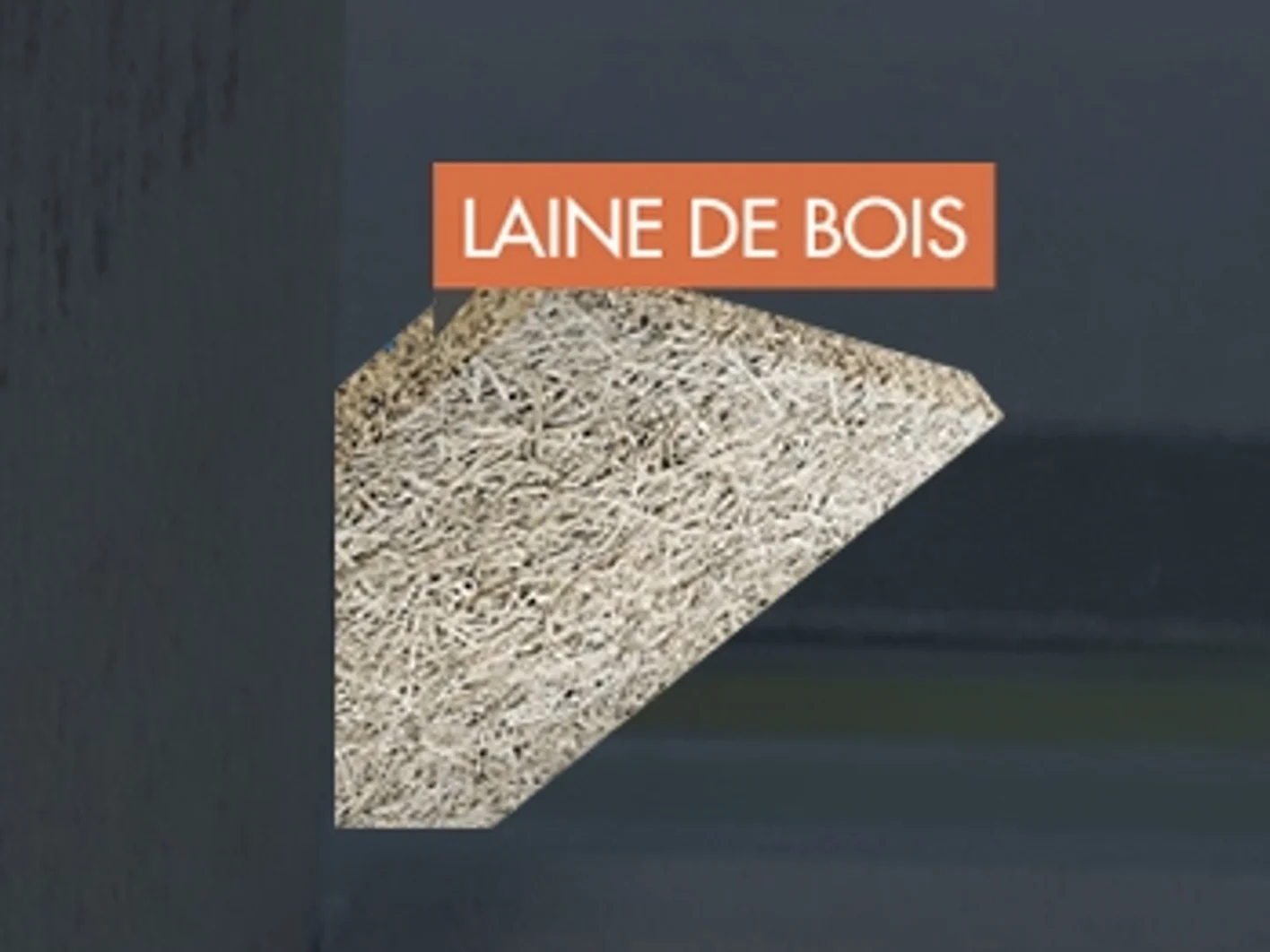 laine de bois visuel