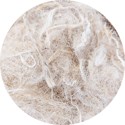 fibres jute
