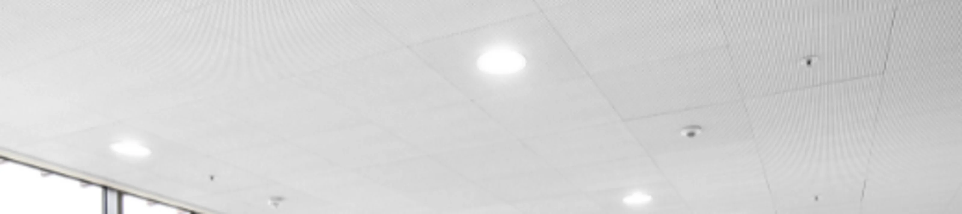 Danoline interior