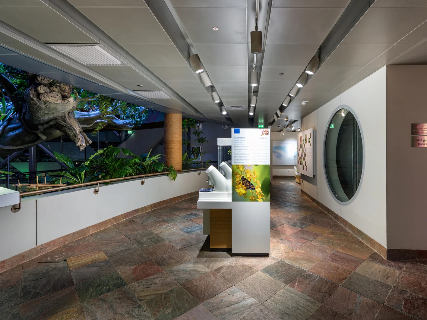 UAE-Green-Planet-Dubai-03