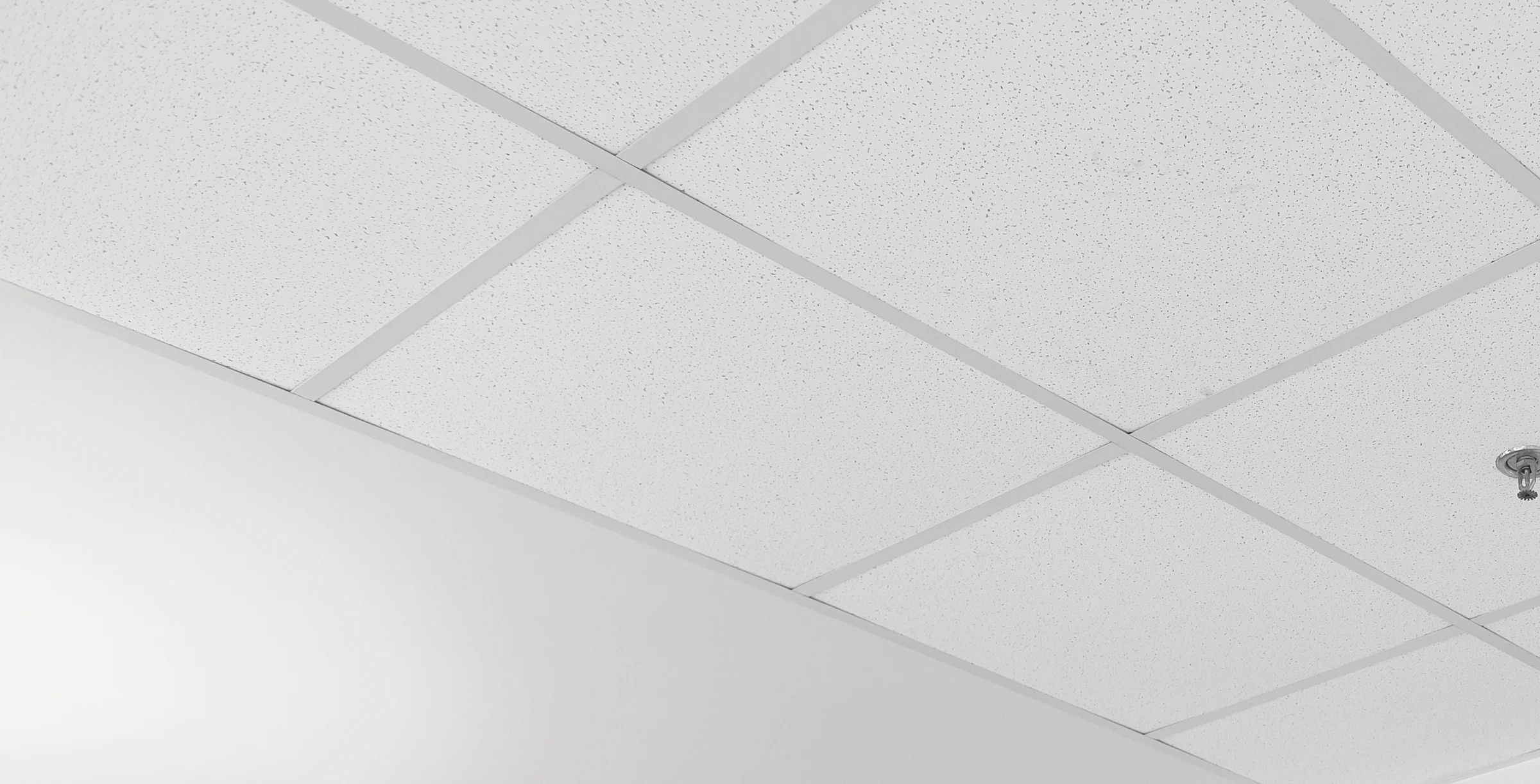 Ceiling exposed