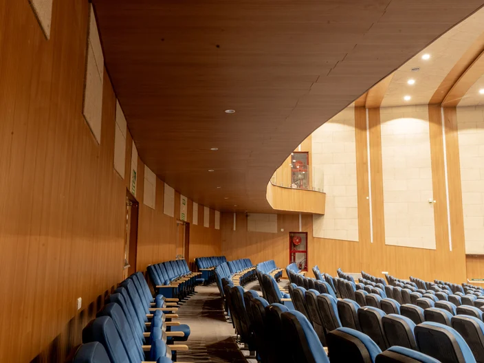 Mat-Ceiling-Wall_IN-IIT-Bhubaneshwar.jpg