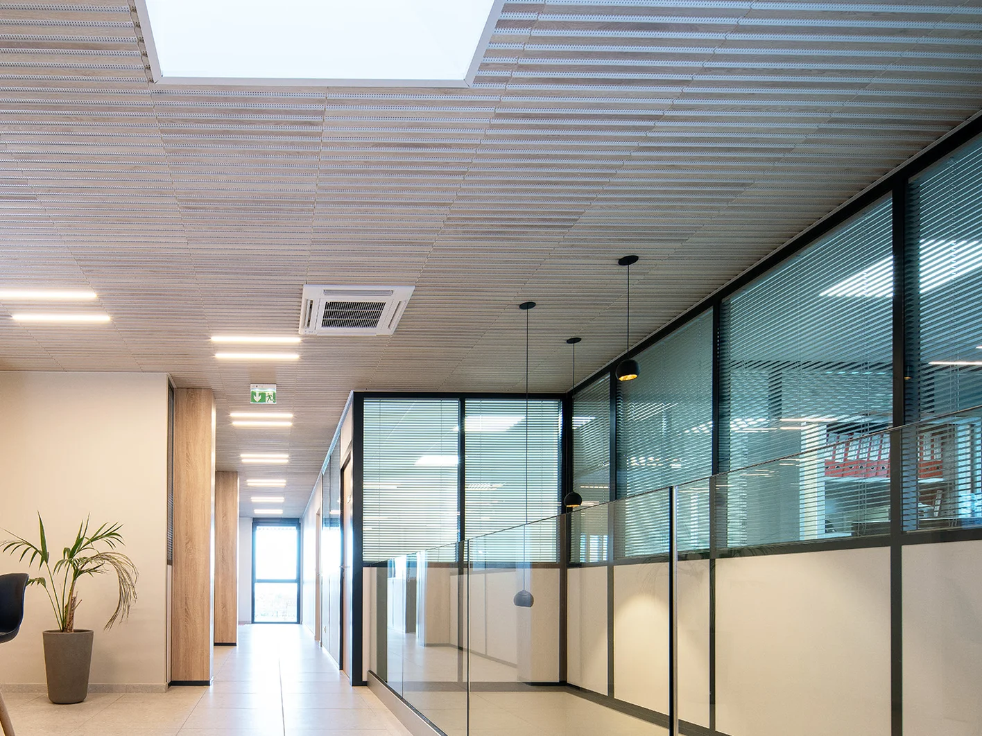 Rold12 acoustic ceiling in office