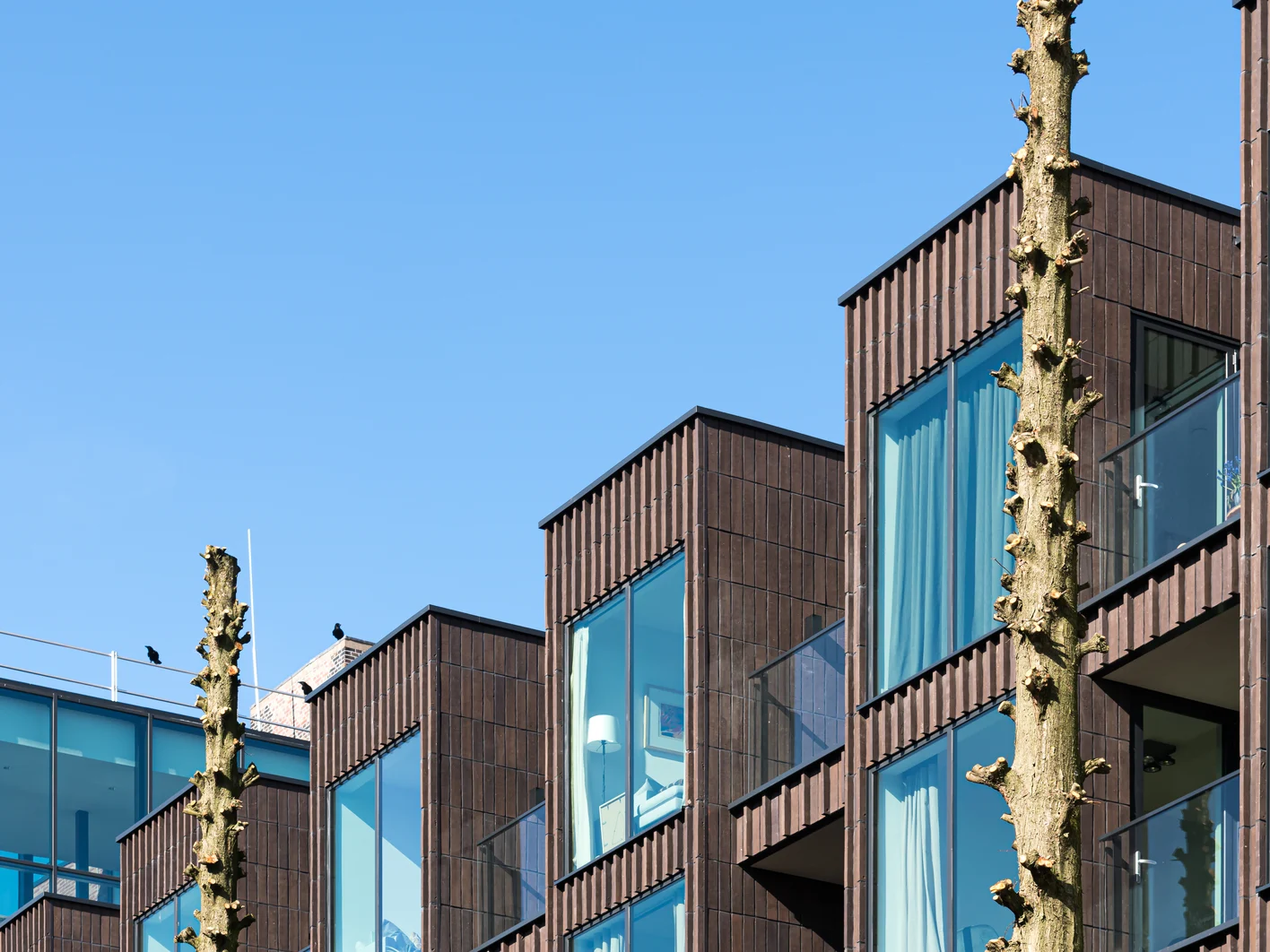 Amsterdam, Karel Jardin 2.0