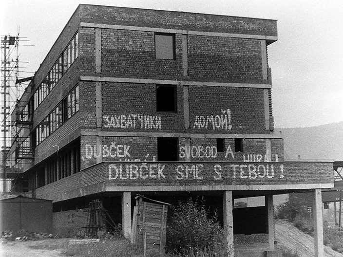 NB Plant Histrória