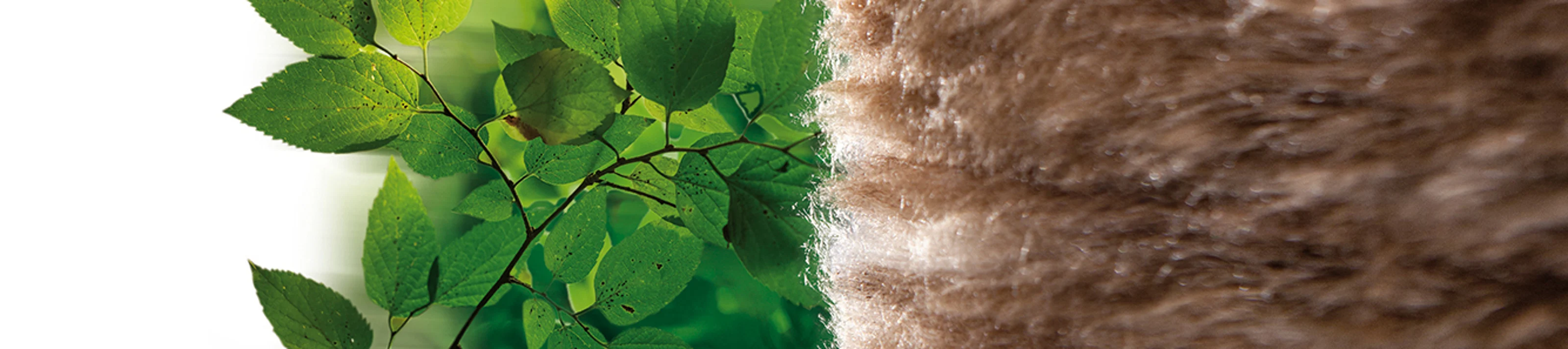Knauf Insulation Nachhaltigkeit