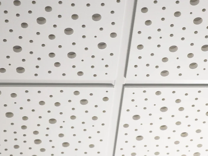 Büro Umbau Reinach Decken