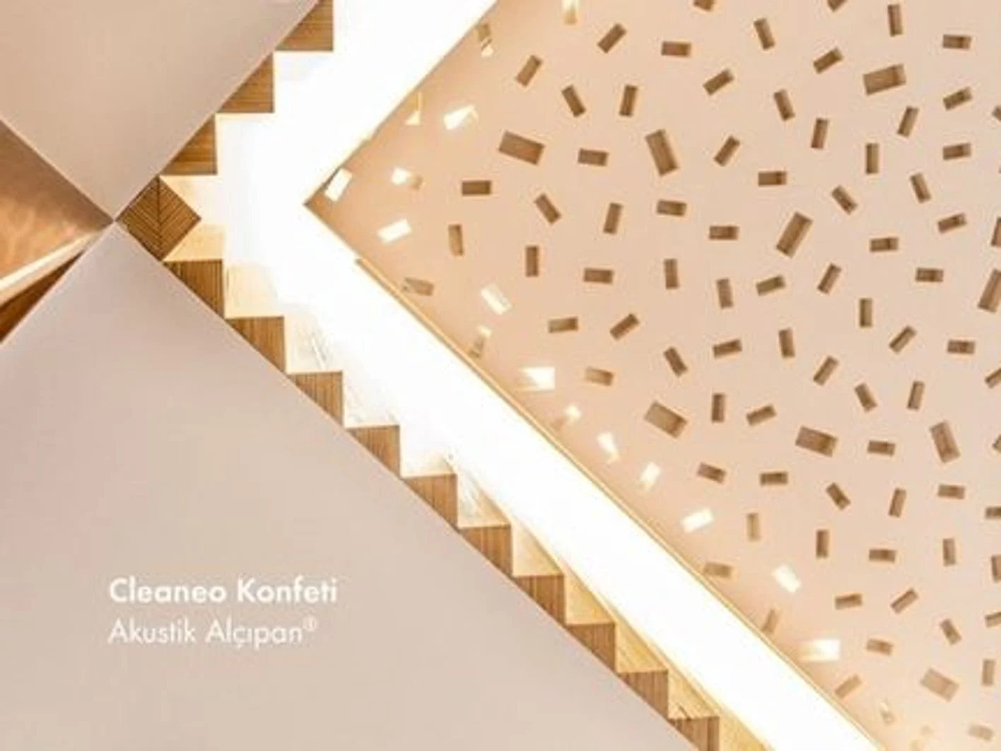 cleaneo