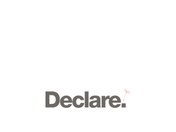 Logo Declare