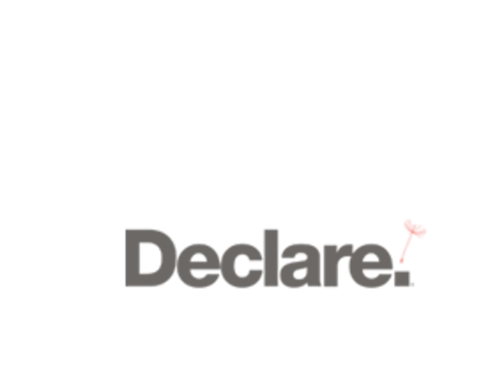 Logo Declare