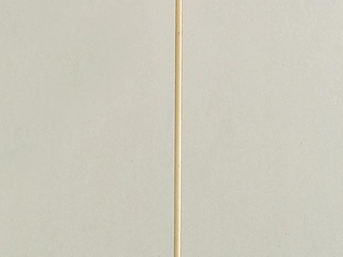 Gypsum plasters