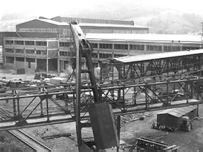 NB Plant Histrória