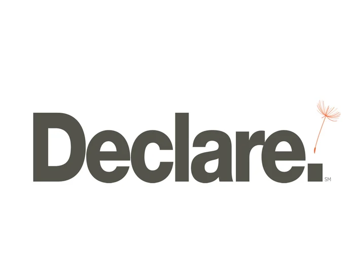 declare logo