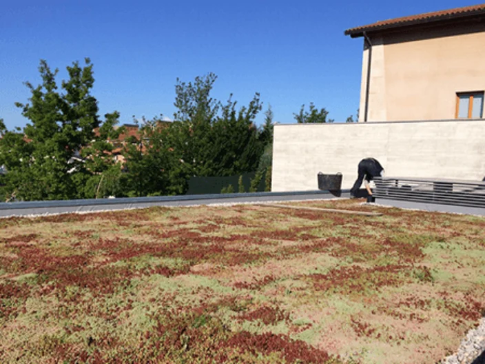 Cubierta-verde-urbanscape