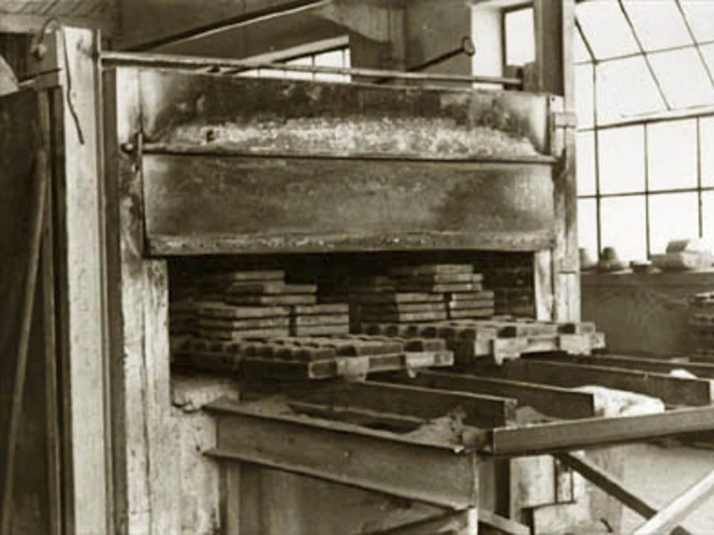 NB Plant Histrória