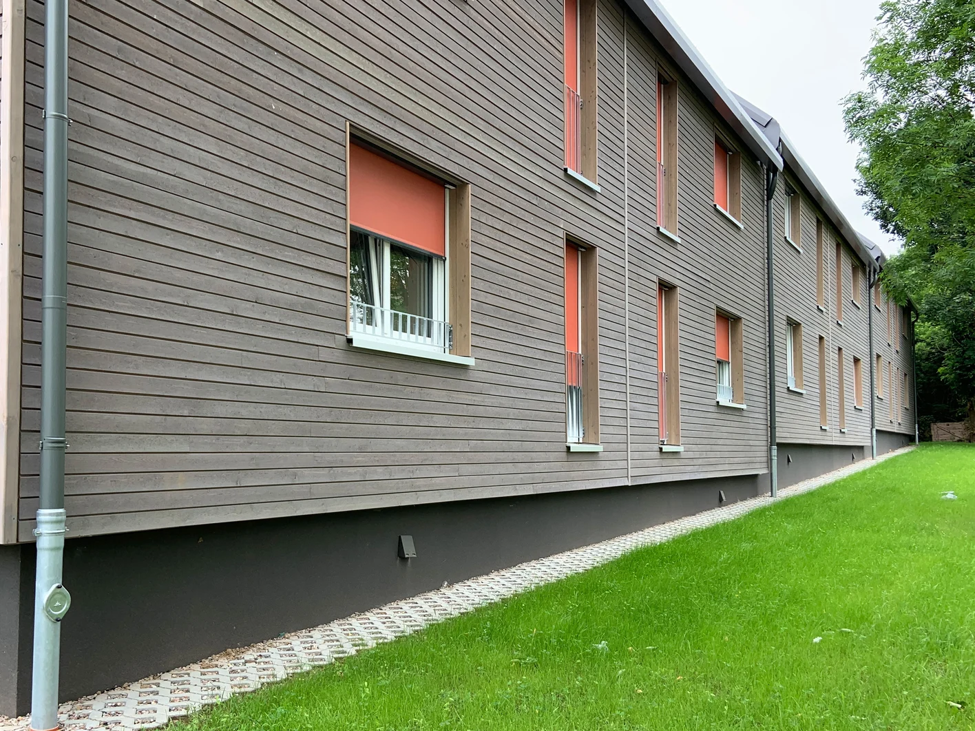 Referenz Kuckuck Hameln 1
