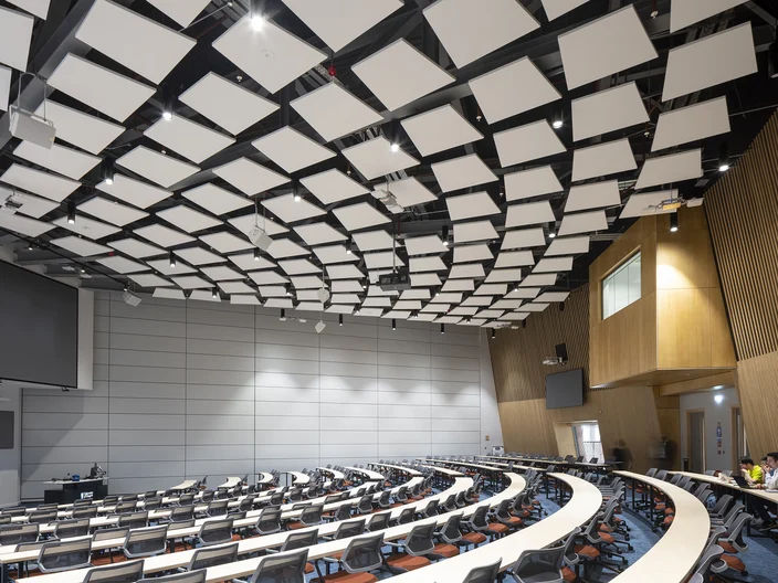 RS_MINERAL-Sonic-Element-Trapezoid_Education-Auditoriums-UK-James-McCune-Smith-Building-Gl